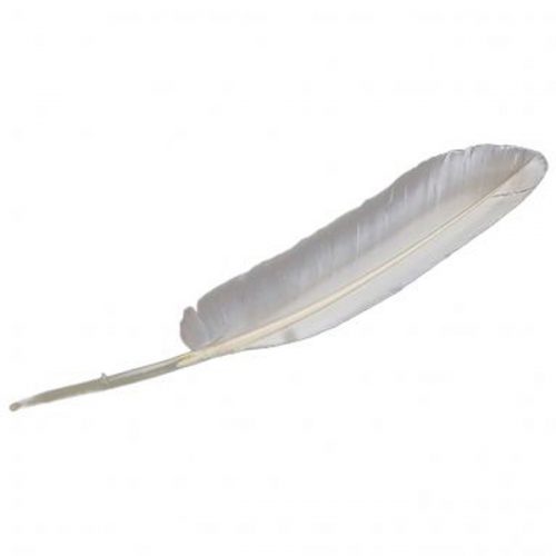 swan feather smudge - herbal spirit